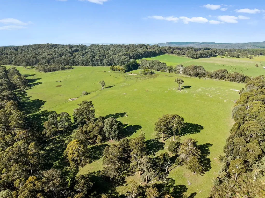 Boho South  60 acres - Honeysuckle Creek frontage