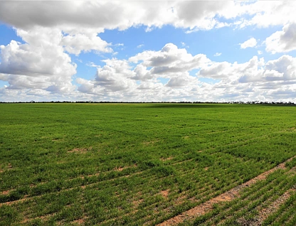 * North West Angle Road, Carwarp, Vic Country , 0 ਕਮਰੇ, 0 ਬਾਥਰੂਮ, Lifestyle Property
