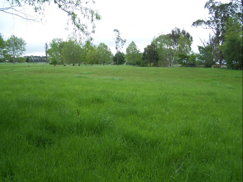 198 Bowalley Road, Herbert, Waitaki, 4 Bedrooms, 0 Bathrooms