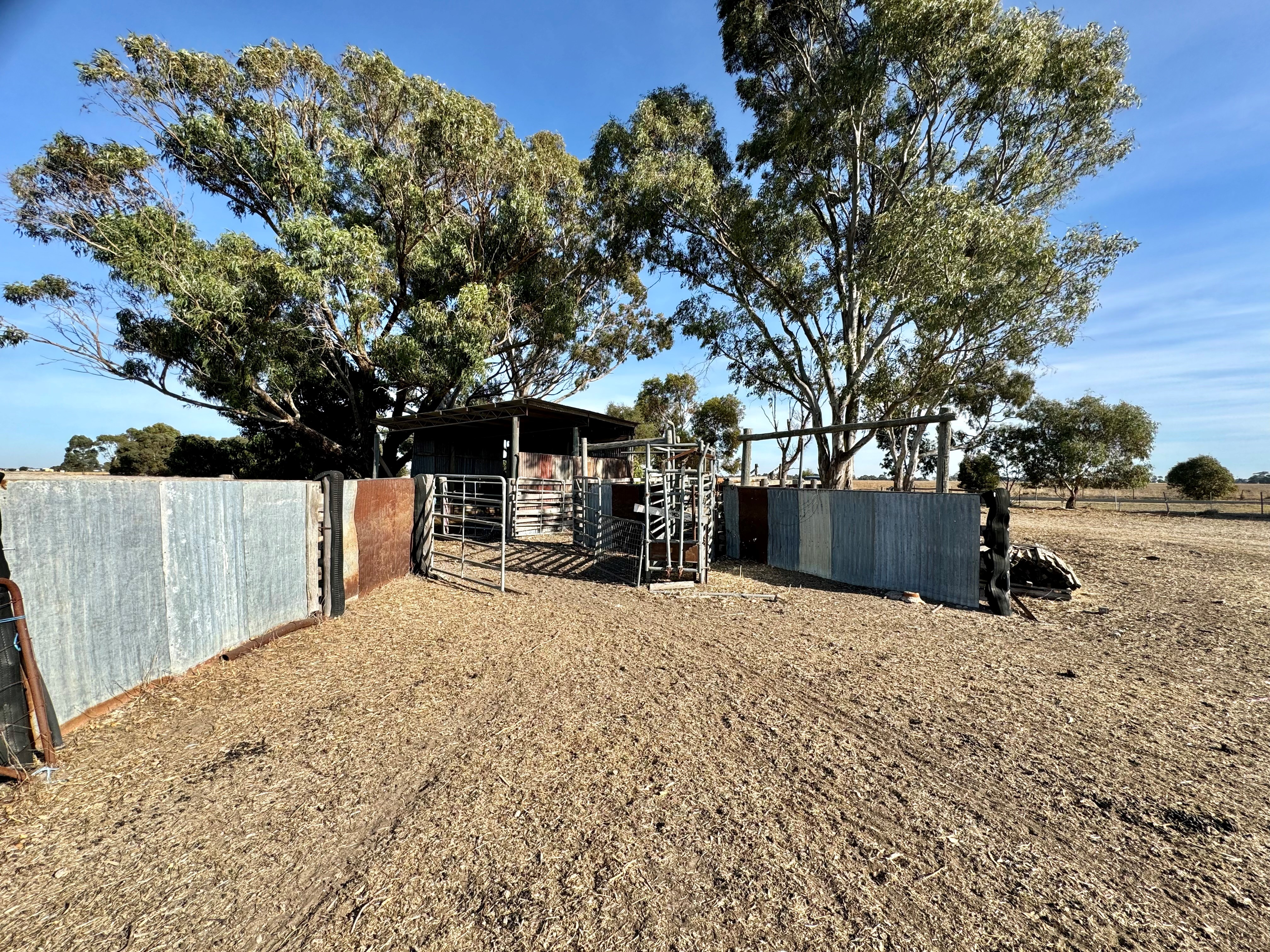 45 MOYHALL RD, NARACOORTE SA 5271, 0部屋, 0バスルーム, Lifestyle Property