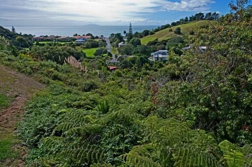 Hauraki Gulf Islands