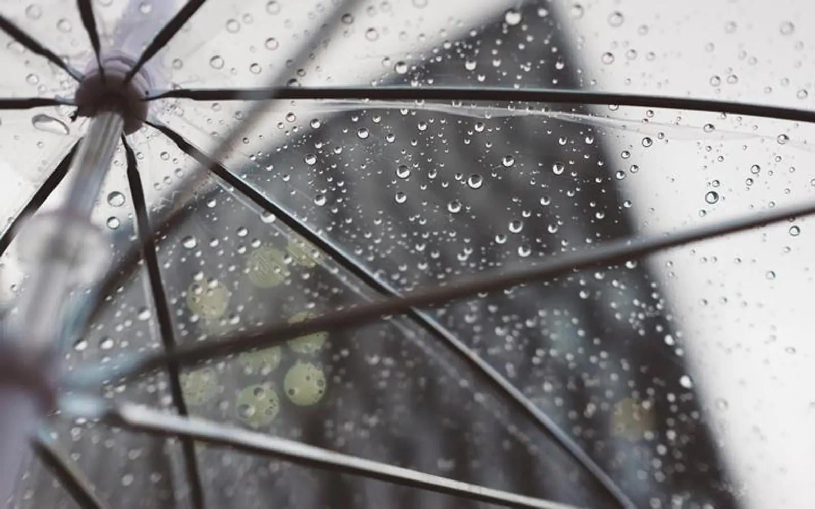 变天啦！暴雨将至，奥克兰拉响雷暴警报