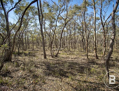 CA 13 SEC Lyle Lead Rd Moonlight Flat, Maryborough, Bendigo, 0 Schlafzimmer, 0 Badezimmer, Lifestyle Property