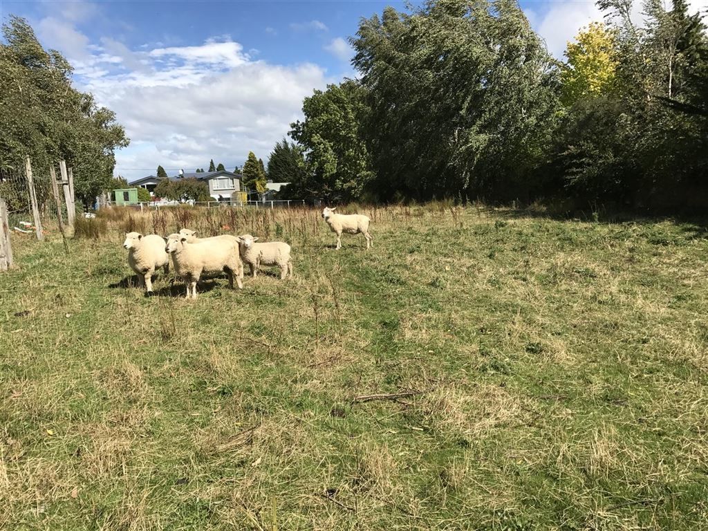 56 Farm Street, Lumsden, Southland, 0房, 0浴