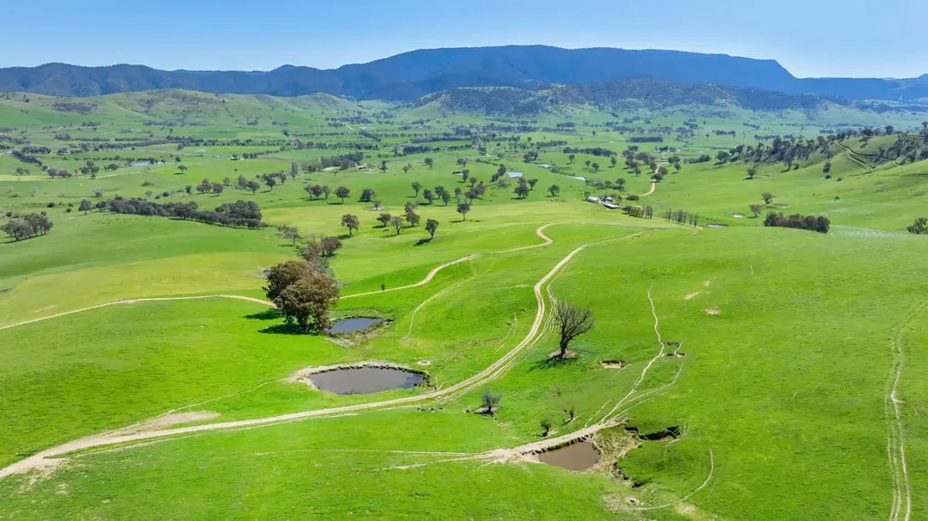 Cudgewa  "Wabba Downs"
