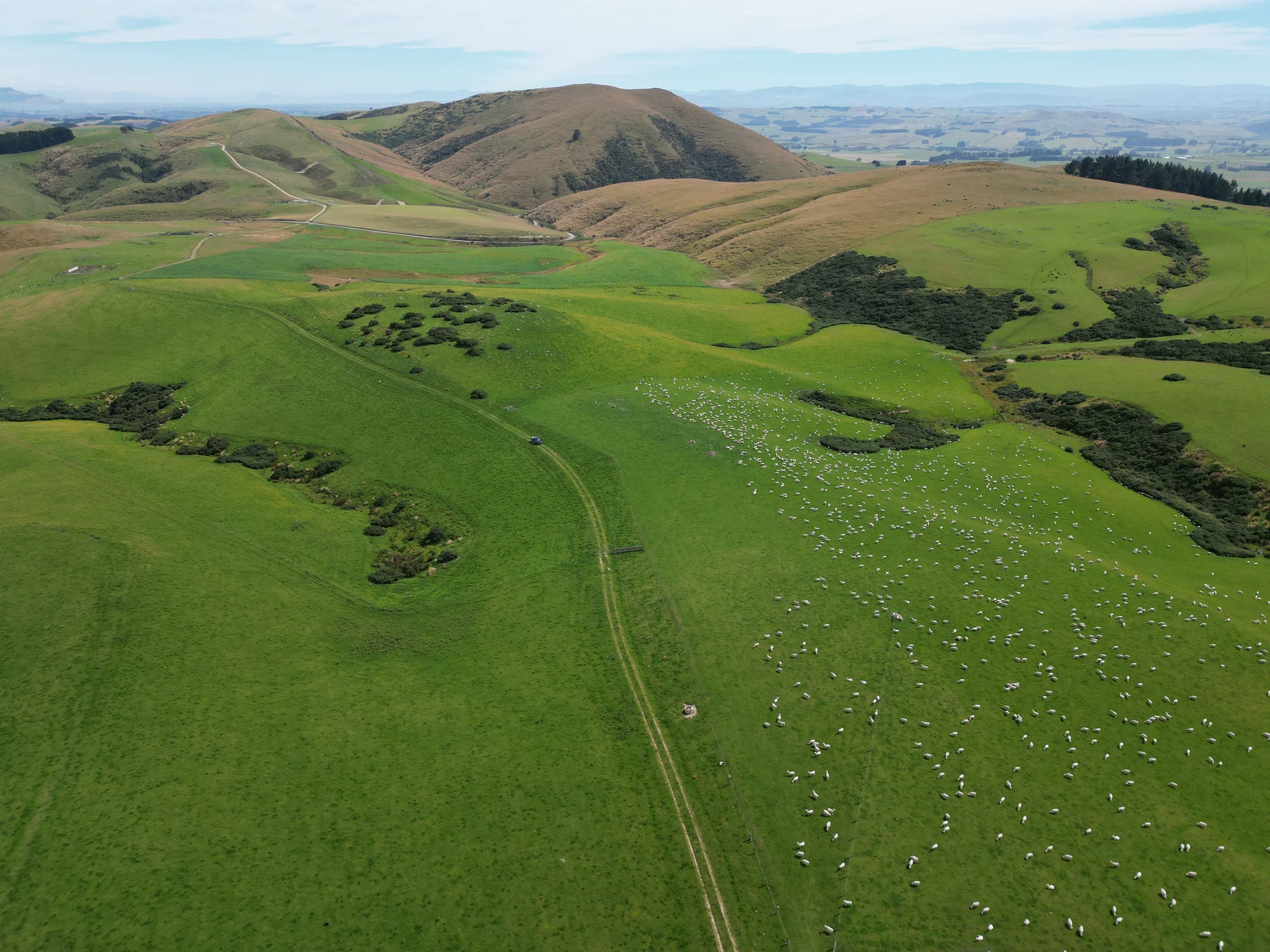 Clinton and Surrounds Development or forestry opportunity with scale