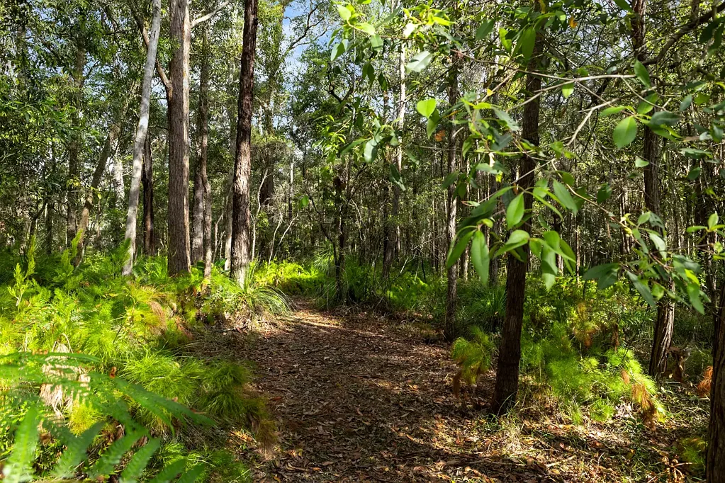 Peregian Beach  Outstanding Acreage Opportunity in Peregian Beach