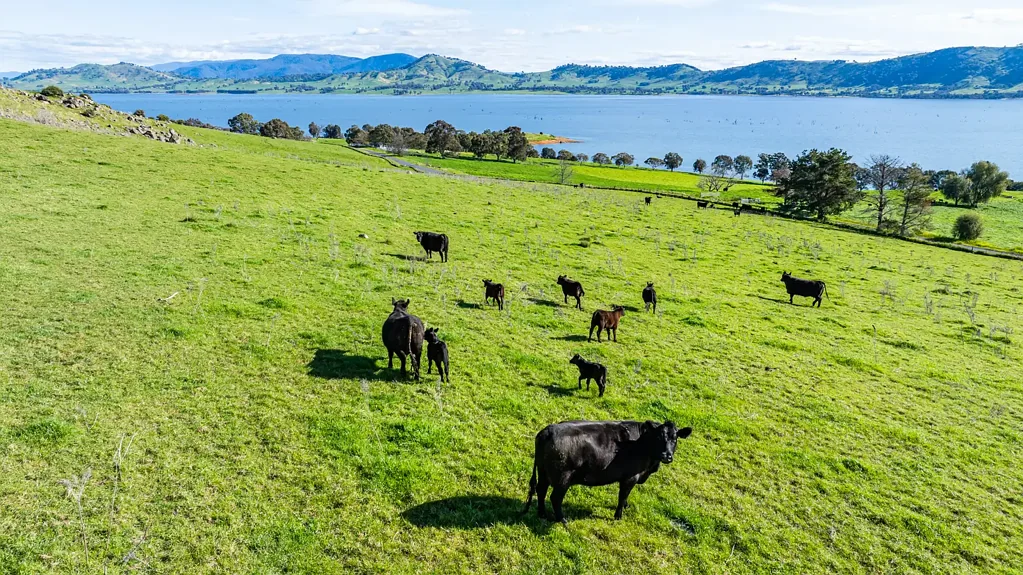 Bethanga Stunning Lake Hume Views