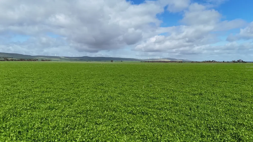 Mundoora Quality Cropping Property