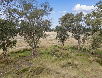  Corner Back Creek Road and Toowoomba Karara Road, Karara, Darling Downs, 0房, 0浴, Section