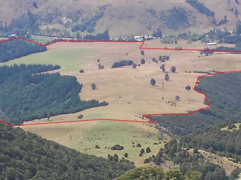 202 Mount Lyford Forest Drive, Lyford, Hurunui, 0部屋, 1バスルーム, Grazing