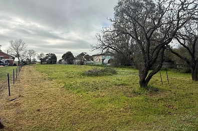 54 Newall Street, Marnoo, VIC 3387, 0 slaapkamers, 0 badkamers, Section