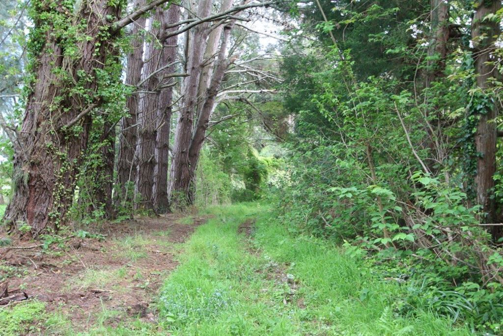 Arapaepae South Road, Levin, Horowhenua, 0 chambres, 1 salles de bain