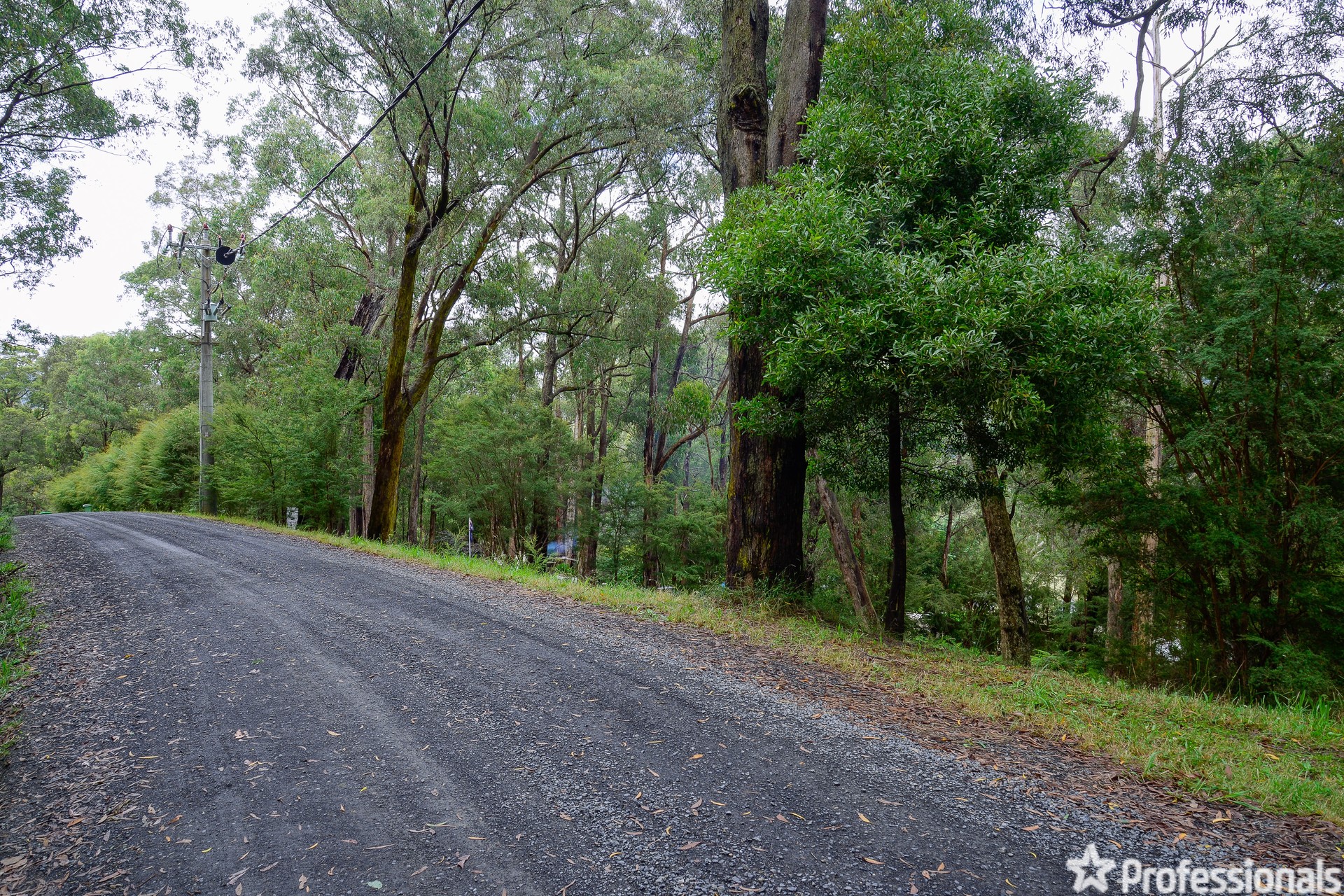 6 YARRA VALLEY CR, EAST WARBURTON VIC 3799, 0 habitaciones, 0 baños, Section