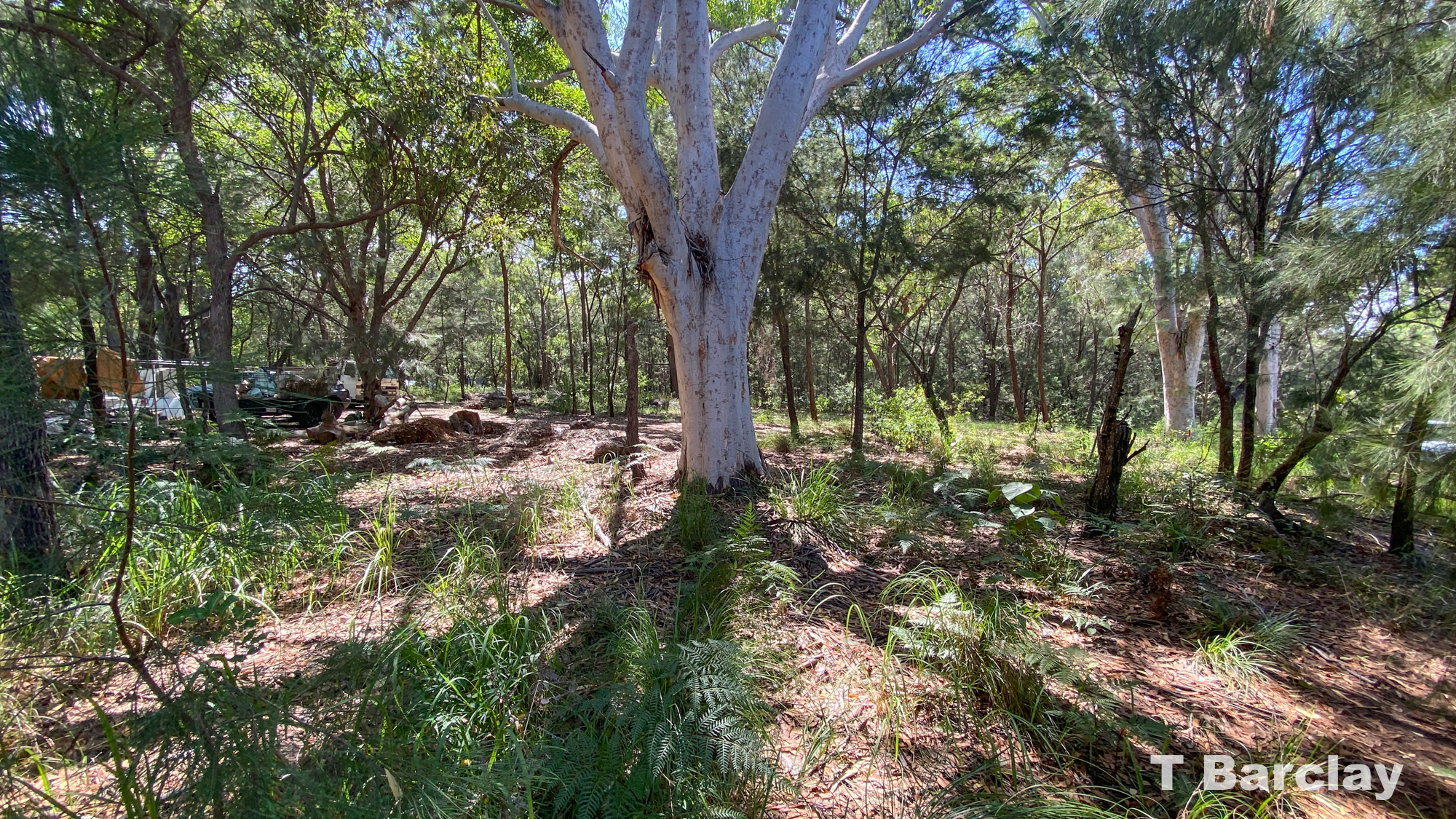 43 TAHLIN DR, RUSSELL ISLAND QLD 4184, 0 habitaciones, 0 baños, Section