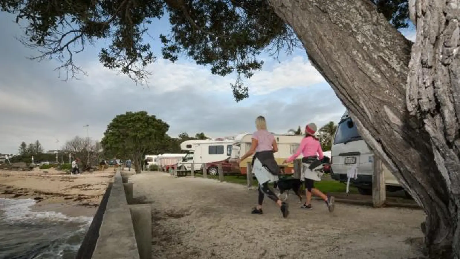 Takapuna Beach公园露营地的租约问题备受争议 地方委员会决定指派第三方来举行听证