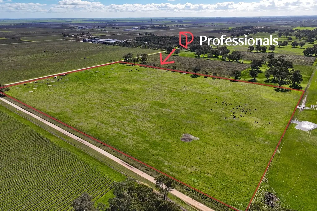 Coonawarra  Tranquil Lifestyle Acreage in the Heart of Coonawarra
