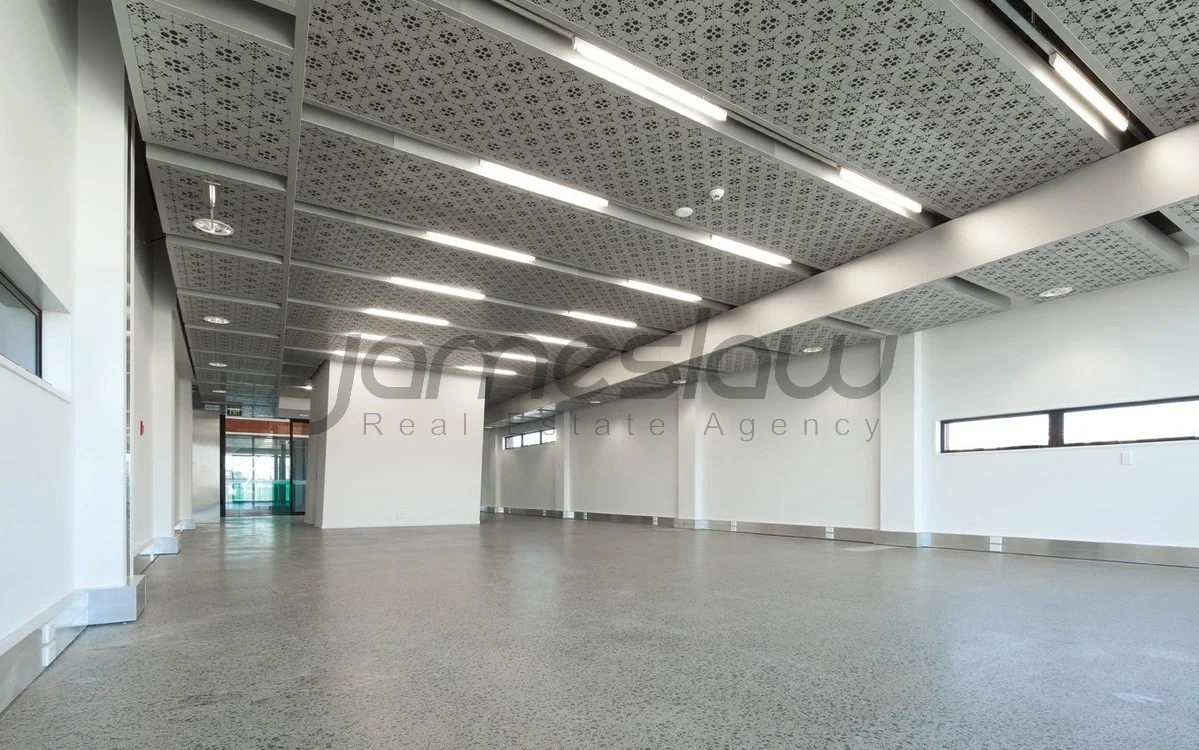 Auckland Central  City Fringe Modern Office