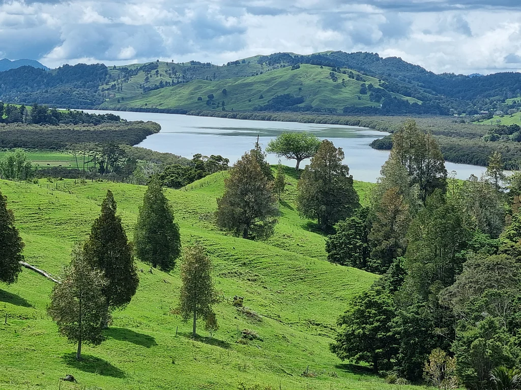 Kohukohu Kohukohu Beef Farm with great lifestyle options