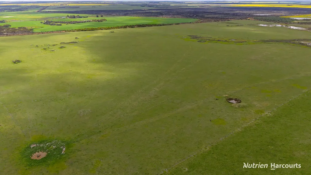 Neridup "Greendale North: Expansion opportunity in the Neridup Region"