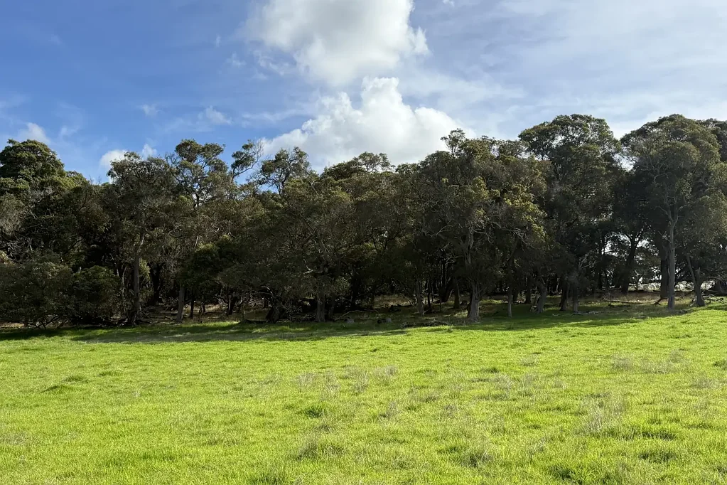 Marbelup  Private Valley, Enjoy Stunning Natural Bush