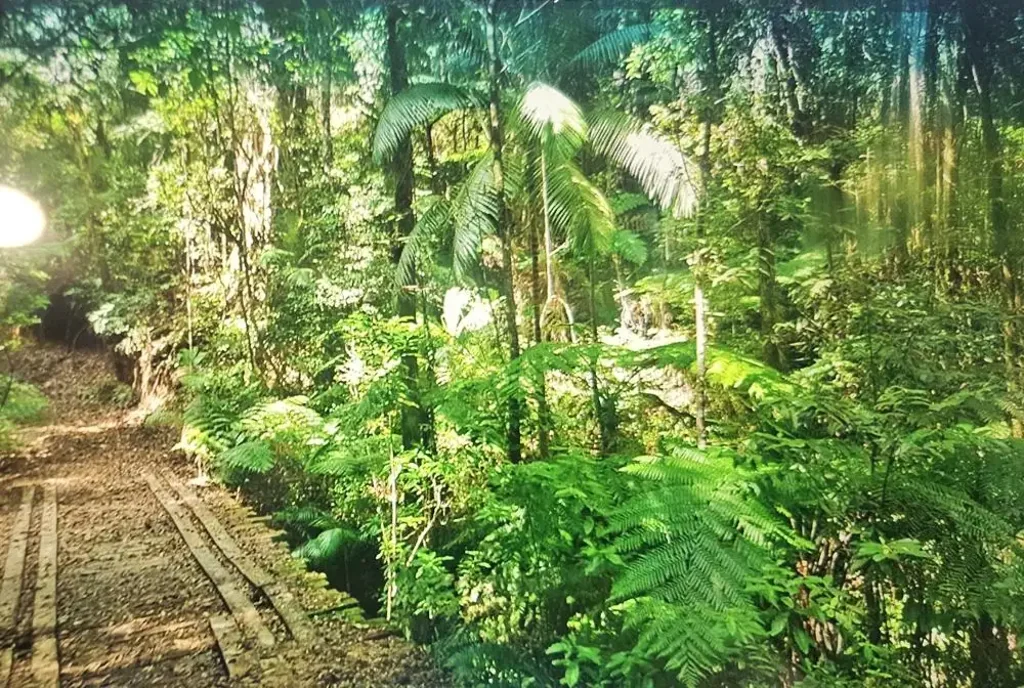 Kalang 100 Acres of Bushland & Rainforest - Permanent Water
