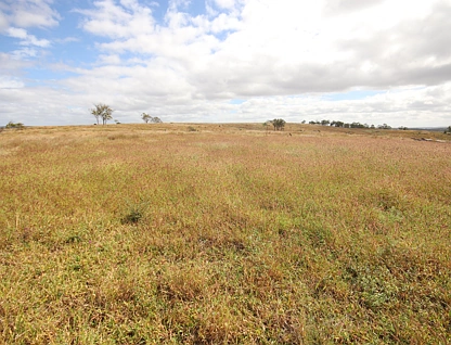 Lot 33 Eidsvold Theodore Road, Eidsvold, Wide Bay, 0 غرف, 0 حمامات, Lifestyle Property