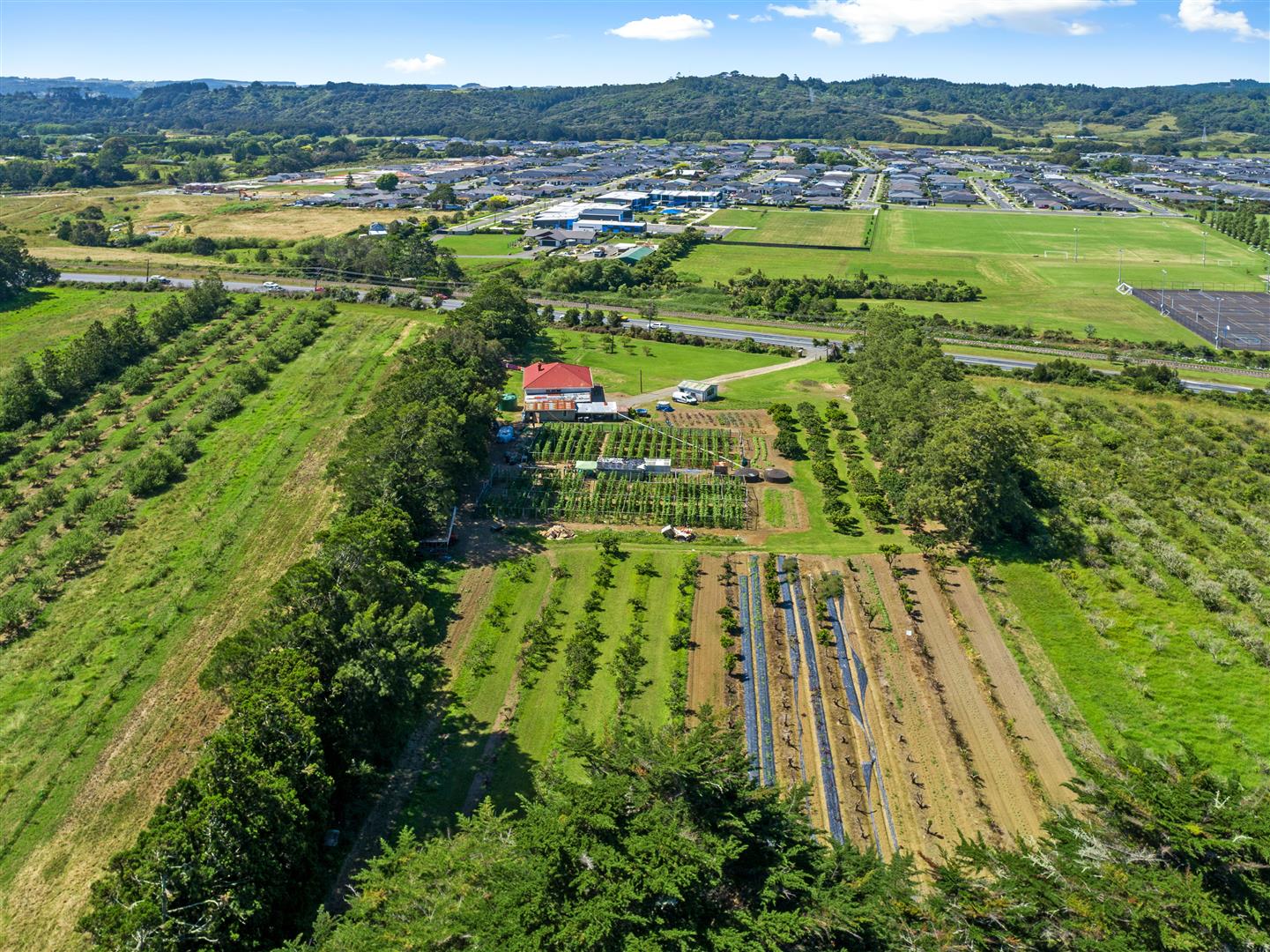 529 State Highway 16, Kumeu, Auckland - Rodney, 0 Bedrooms, 0 Bathrooms