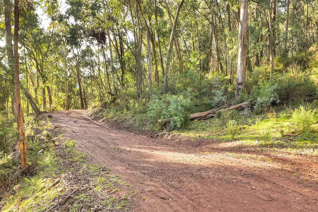 Tolmie 1غرفة نوم Exclusive Wilderness Holding Bordering State Forest