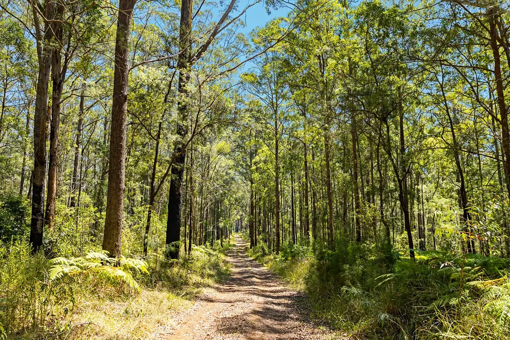 Kingaham "Wombalinger" - 2,437 Ha Cattle Grazing & Fattening