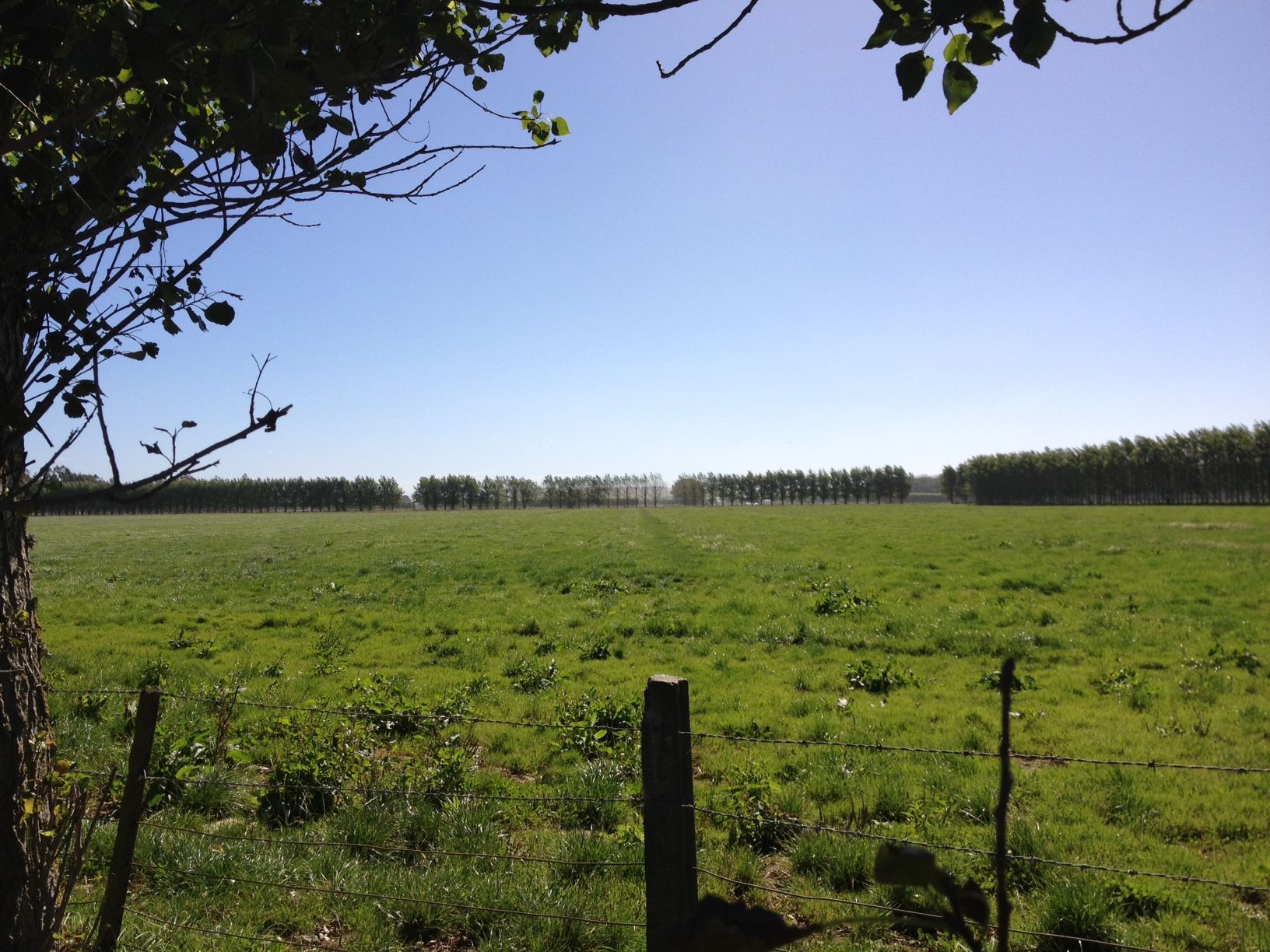 Mcleays Road, Morven, Waimate, 0房, 1浴