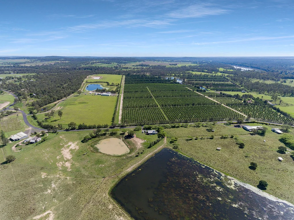 Drinan  Magnificent Citrus Orchard  - 78.65ha