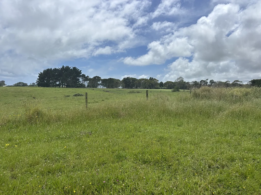 Bell Block  Airport Drive — Build Big, Dream Bigger