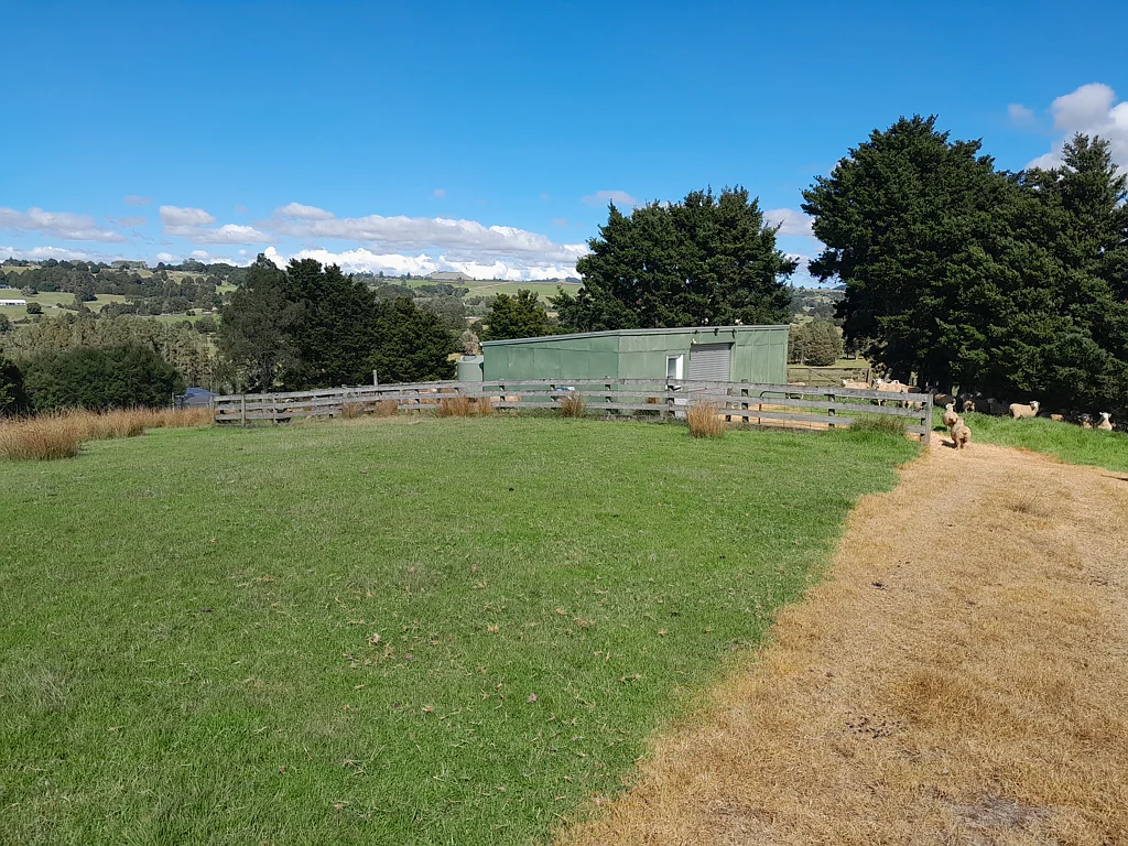 Kerikeri Waimate North Bareland
