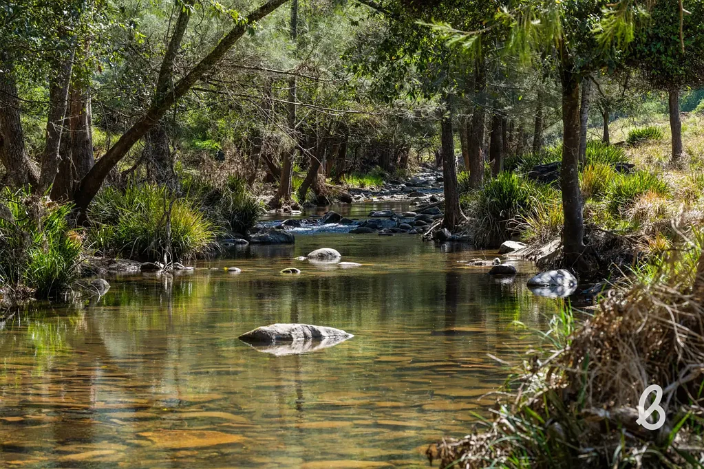 Singleton REMARKABLE HUNTER VALLEY BUSH RETREAT – 364.7 Ha (900 Acres)
"Fosters" off Cassels Road, Mount Royal via Singleton