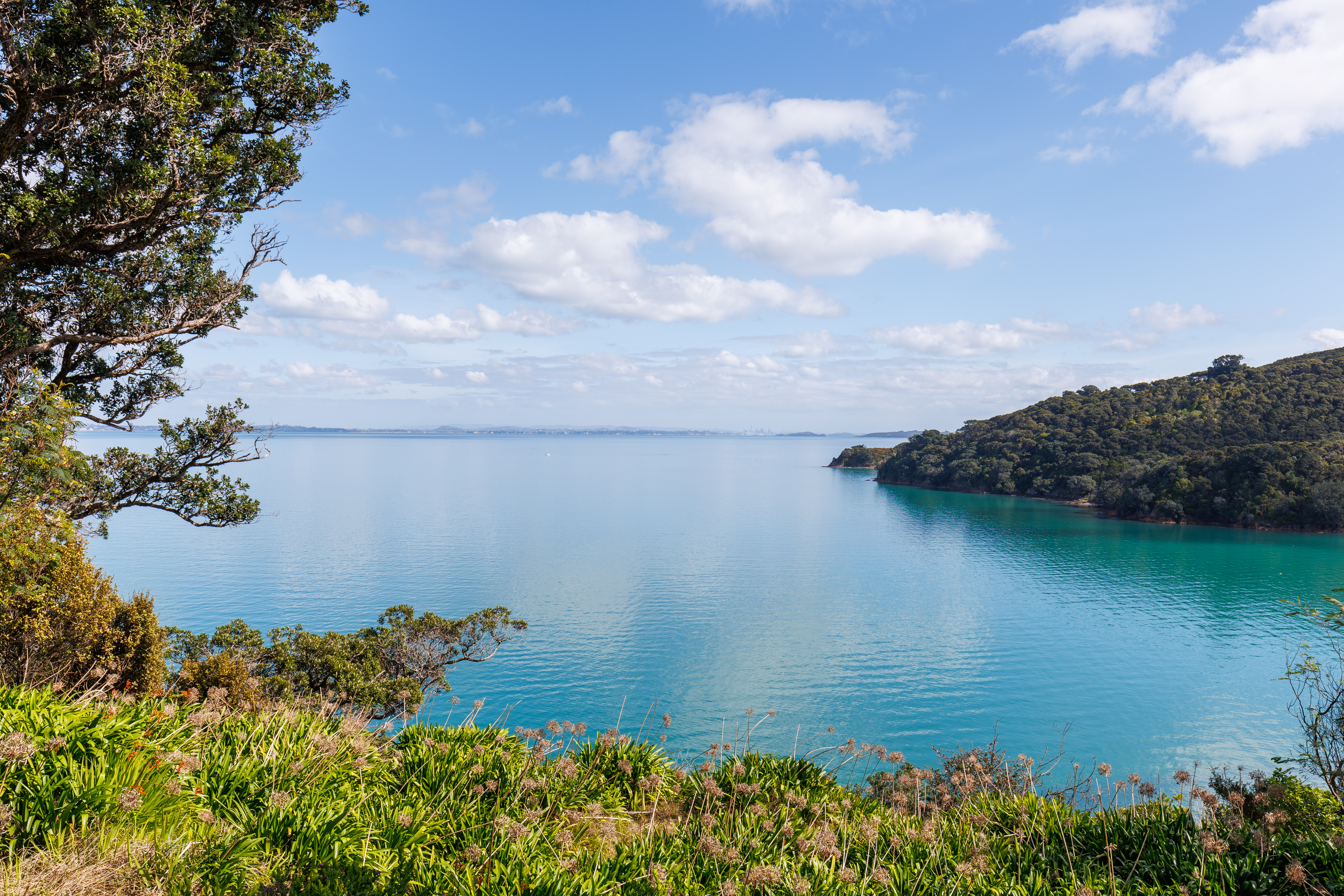 12 Pohutukawa Avenue, Omiha, Auckland, 0 ਕਮਰੇ, 0 ਬਾਥਰੂਮ, Section