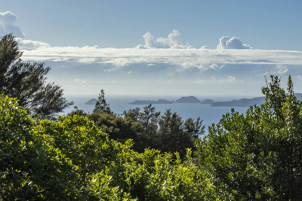 Kaeo BUSH AND SEA LIFESTYLE BLOCK