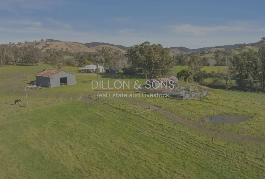436 Cross Keys Road, Gresford, NSW 2311