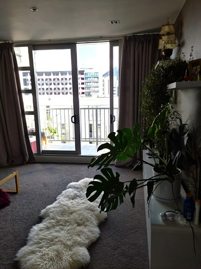 Two Bedroom Apartment