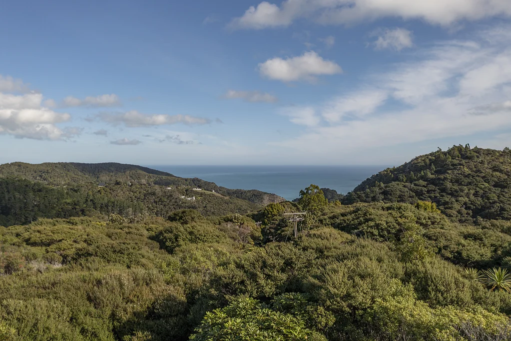 Karekare 13 Acres of Pristine Lifestyle Land - Karekare