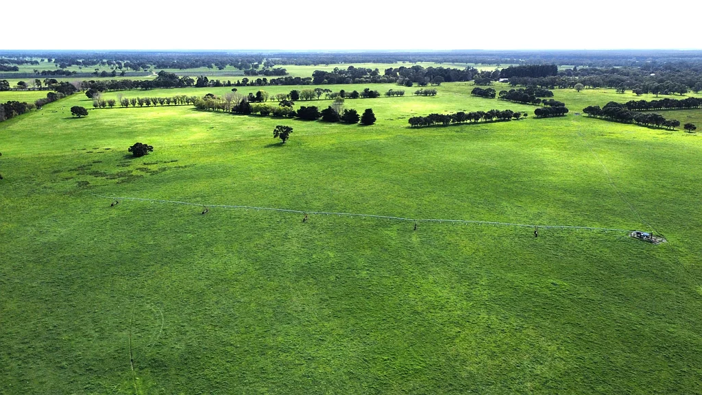 Penola  BANYULA - Sheltered Grazing with Pivot Irrigation
