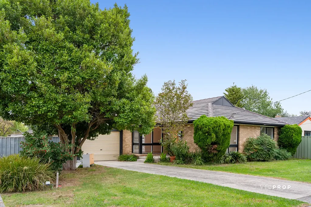 Charming Three-Bedroom Home with Abundant Natural Light