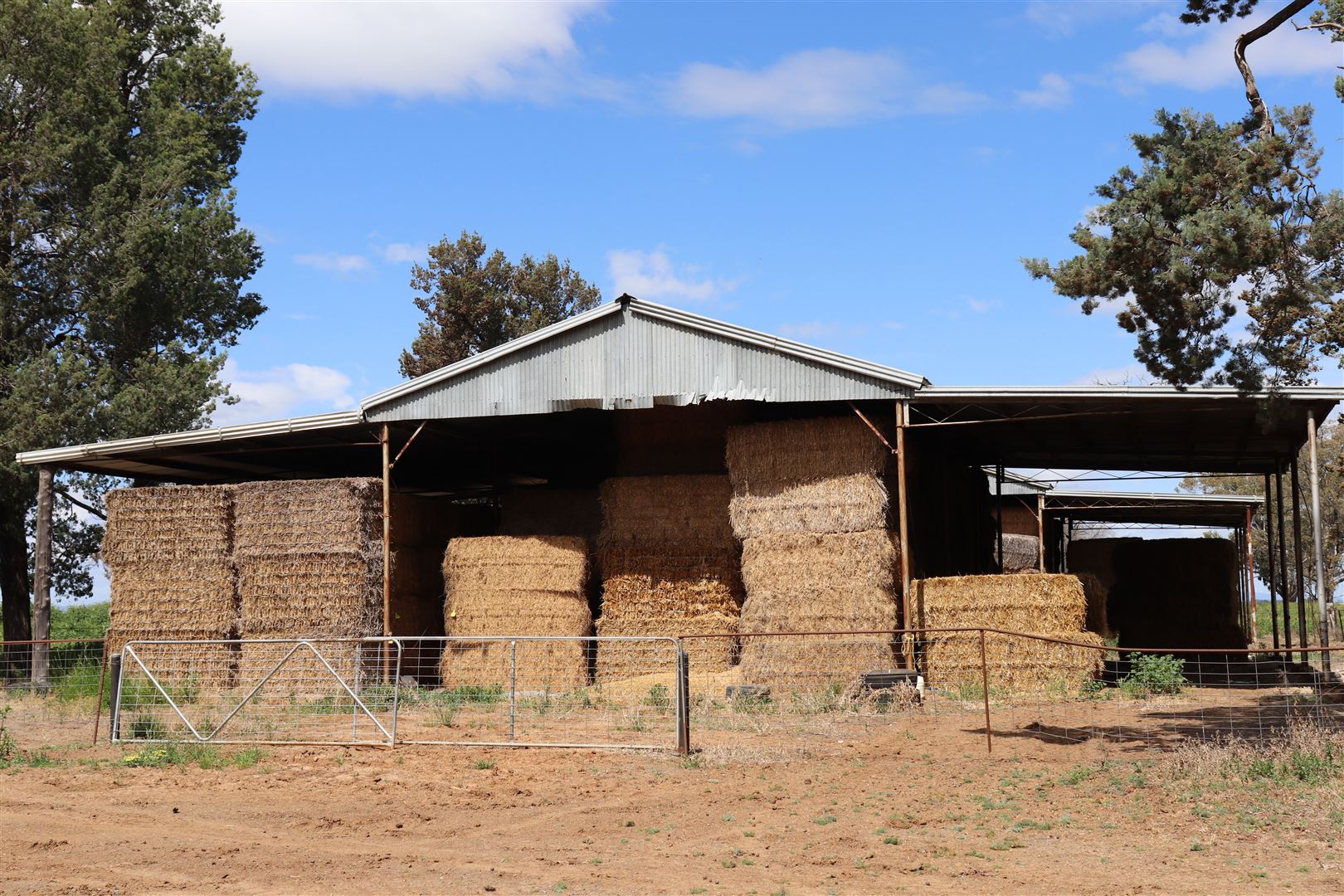 NORTH BOGANOL 5178 HENRY LAWSON WAY, FORBES NSW 2871, 0 Schlafzimmer, 0 Badezimmer, Lifestyle Property