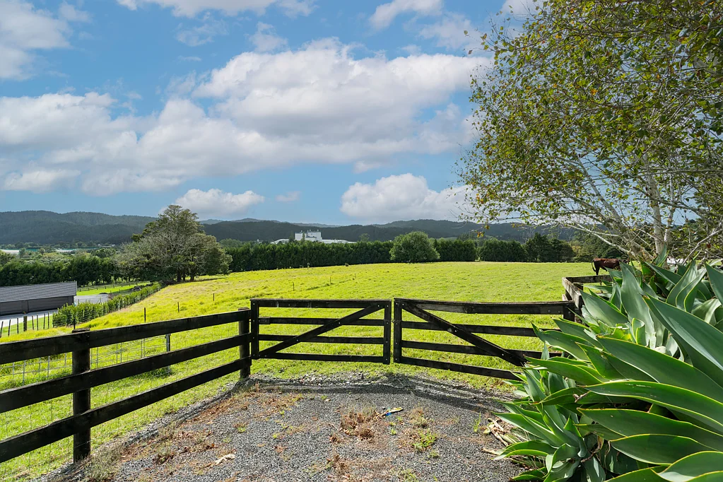 Kauri Build your lifestyle here!