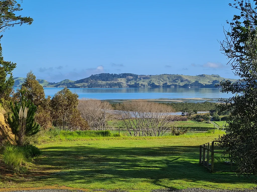 Coromandel Attention Lifestylers