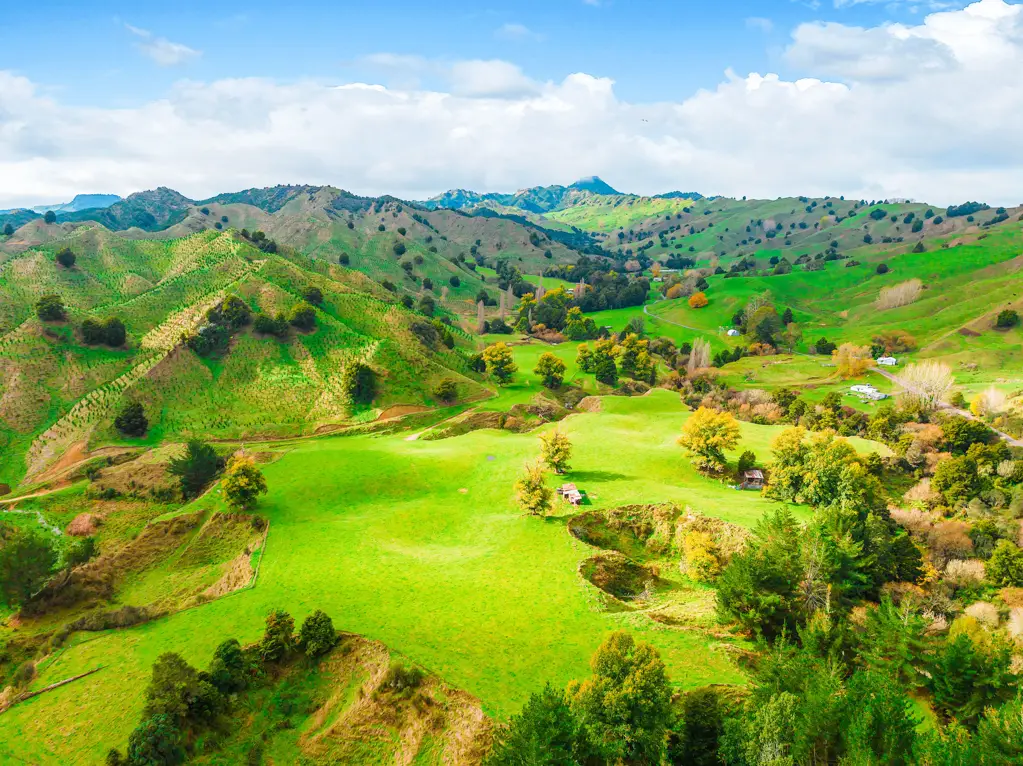 Taumarunui  Your farming future starts here