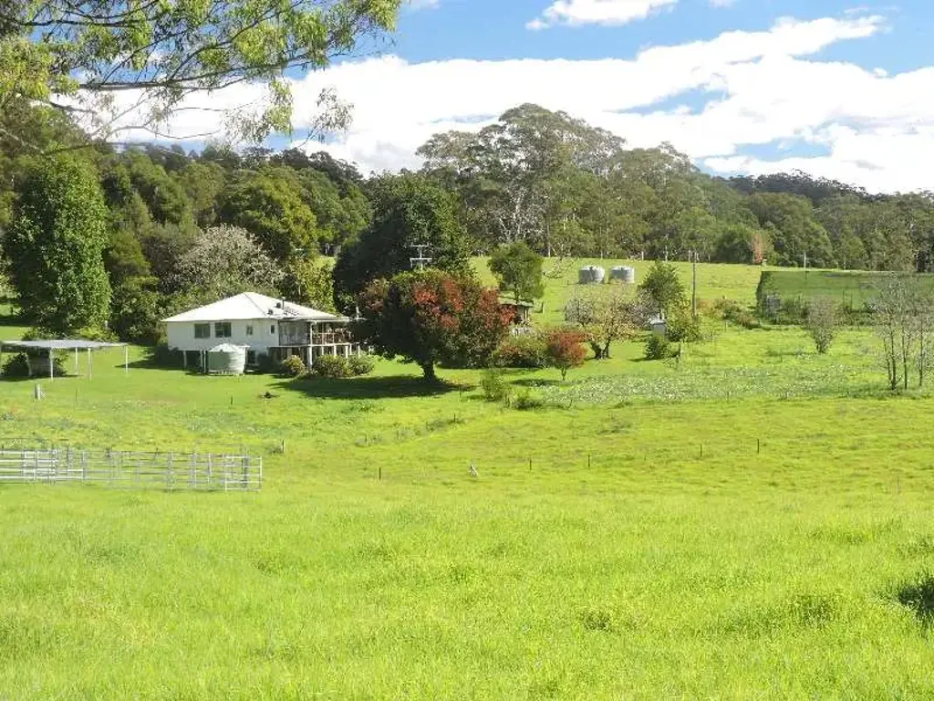 Dorrigo  TRANQUILLITY