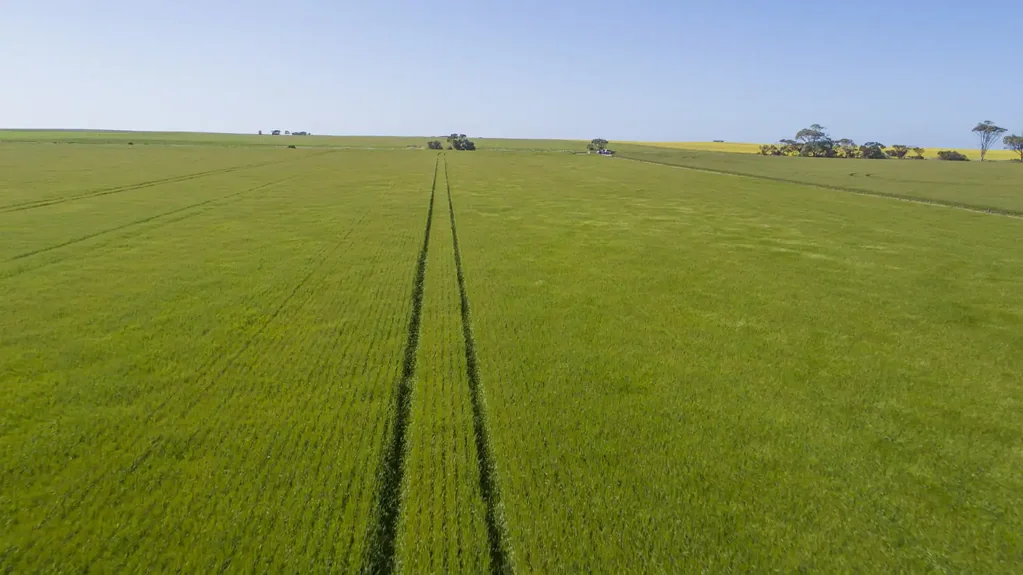 Minlaton Productive Parcel in the Heart of the Yorke Peninsula