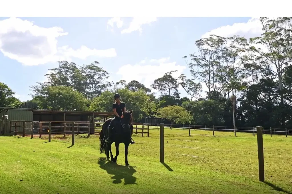 Tamborine Mountain 11房  LUXURY ACREAGE + EQUESTRIAN ESTATE + INCOME-PRODUCING COTTAGES