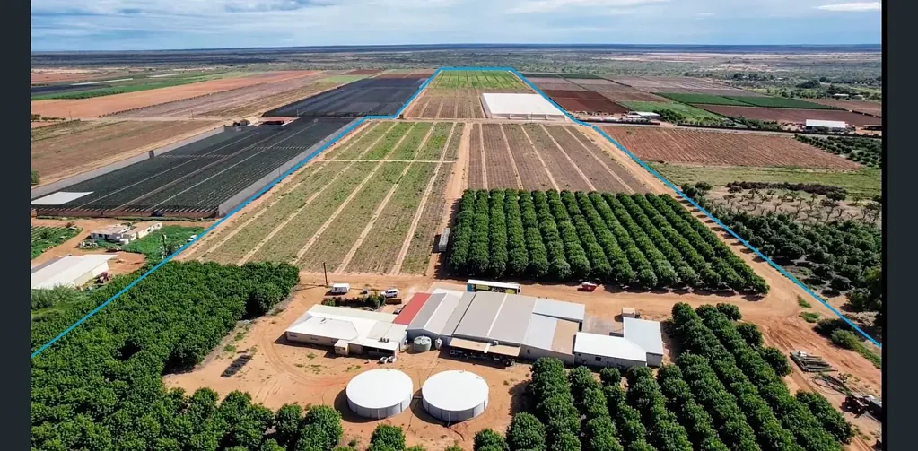 Carnarvon 12Zimmer Established Plantation with Scale & Flexibility